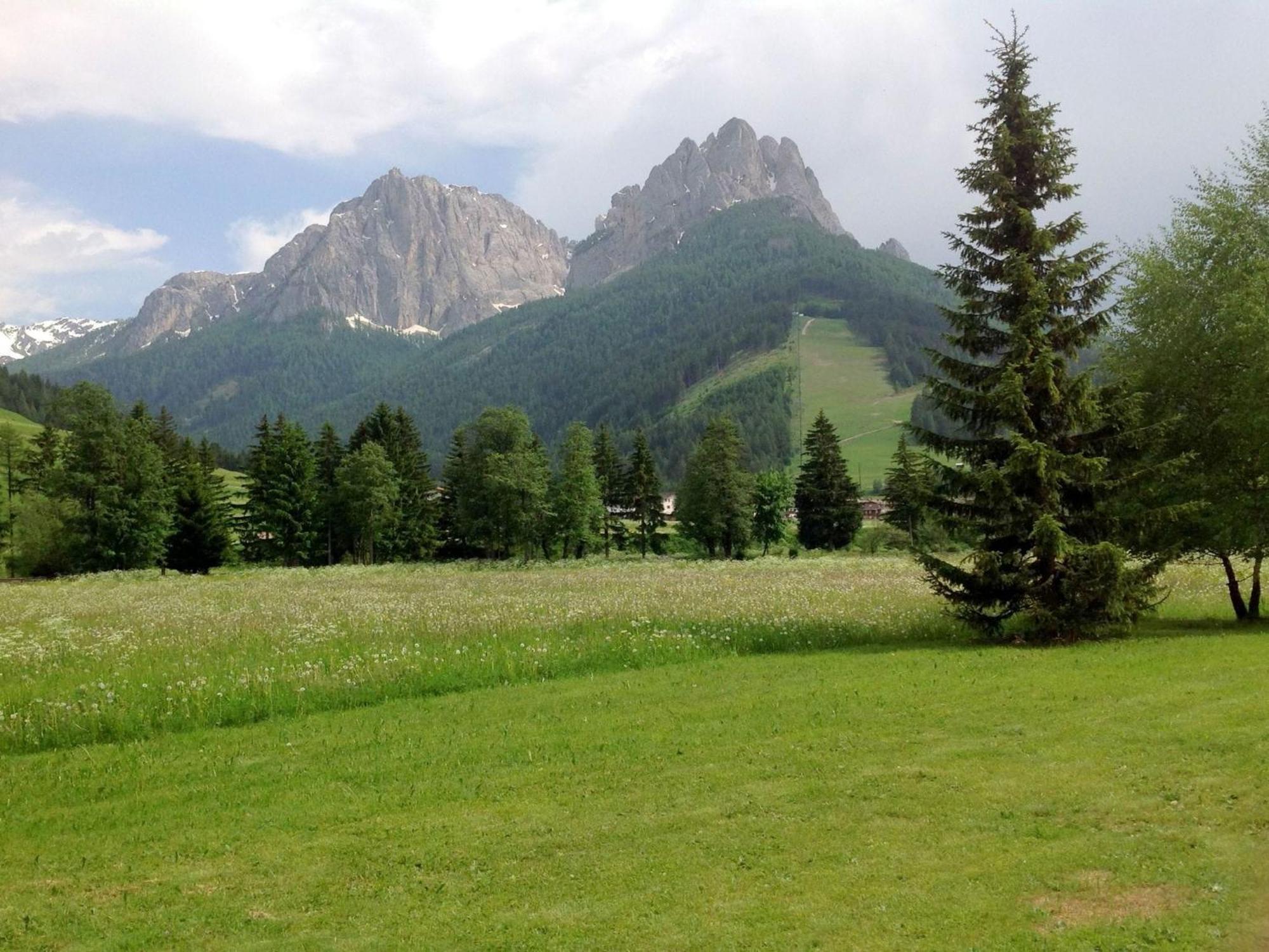 Spacious Chalet With Garden Near Ski Area In Tyrol Pozza di Fassa Exterior foto